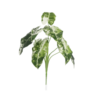 Alocasia Frydek Kunstplant Variegata 60cm
