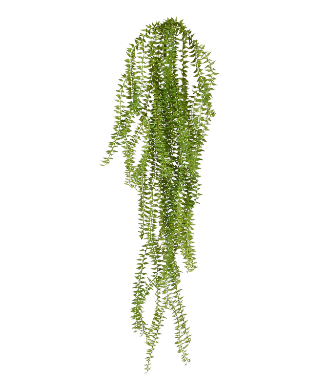 Huperzia kunst hangplant 75cm 1 Huperzia kunst hangplant 75cm