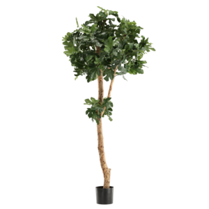 Vijgen Kunstboom Deluxe 210cm