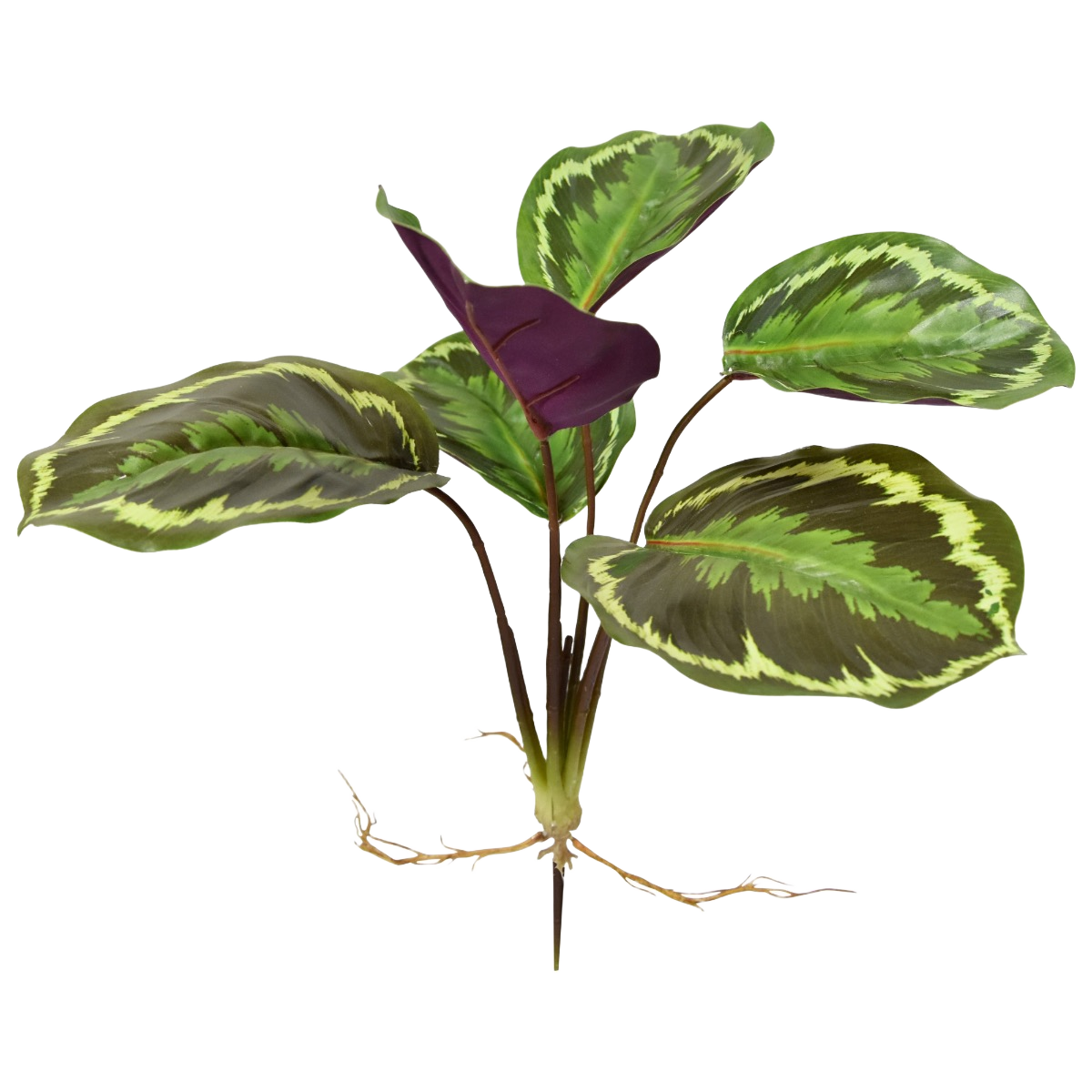 Calathea Ornata kunstplant 25cm 1 Calathea Ornata kunstplant 25cm
