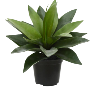Agave kunstplant 25cm in 10cm pot