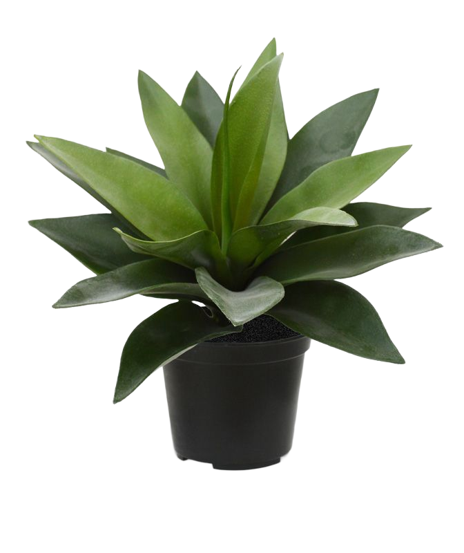 Agave kunstplant 25cm in 10cm pot 1 Agave kunstplant 25cm in 10cm pot