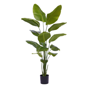 Strelitzia Nicolai kunstplant 175cm