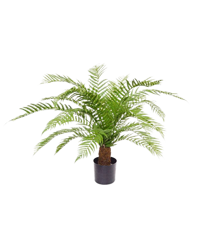 Alsophillia Varen kunstplant XXL 80cm - UV bestendig 1 Alsophillia Varen kunstplant XXL 80cm - UV bestendig
