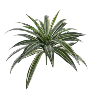Draceana kunstplant 40cm - groen/bont