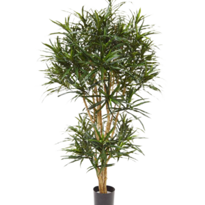 Draceana Reflexa Anita kunstboom 160cm