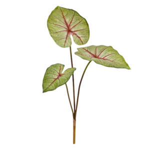 Caladium White Queen Kunstplant 60cm
