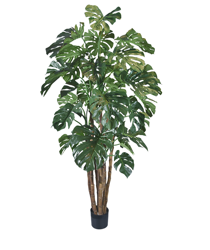 Monstera Giant deluxe kunstboom - 210 cm 1 Monstera Giant deluxe kunstboom - 210 cm