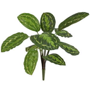 Calathea Roseopicta Kunstplant 50cm