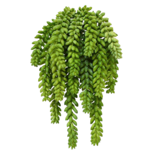 Sedum Donkey tail kunstplant 30cm