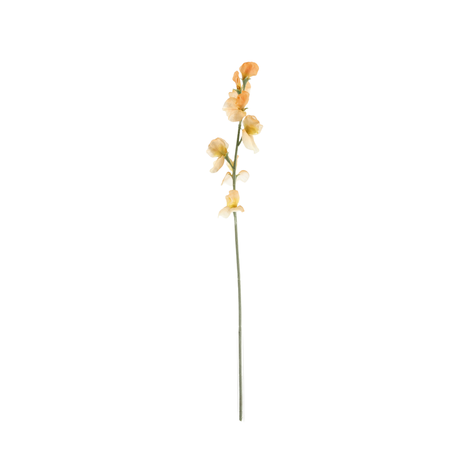 Lathyrus Kunsttak 64cm Zalm 1 Lathyrus Kunsttak 64cm Zalm