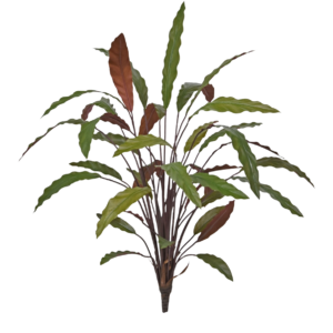 Calathea 75cm Kunstplant Groen/rood