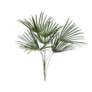 Raphis kunstplant 60cm - UV bestendig
