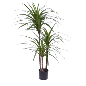 Draceana Marginata Deluxe kunstplant 100cm