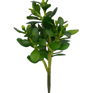 Crassula kunstplant 30cm