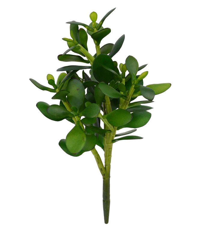 Crassula kunstplant 30cm 1 Crassula kunstplant 30cm
