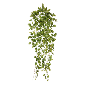 Peperomia Kunsthangplant bont 90cm