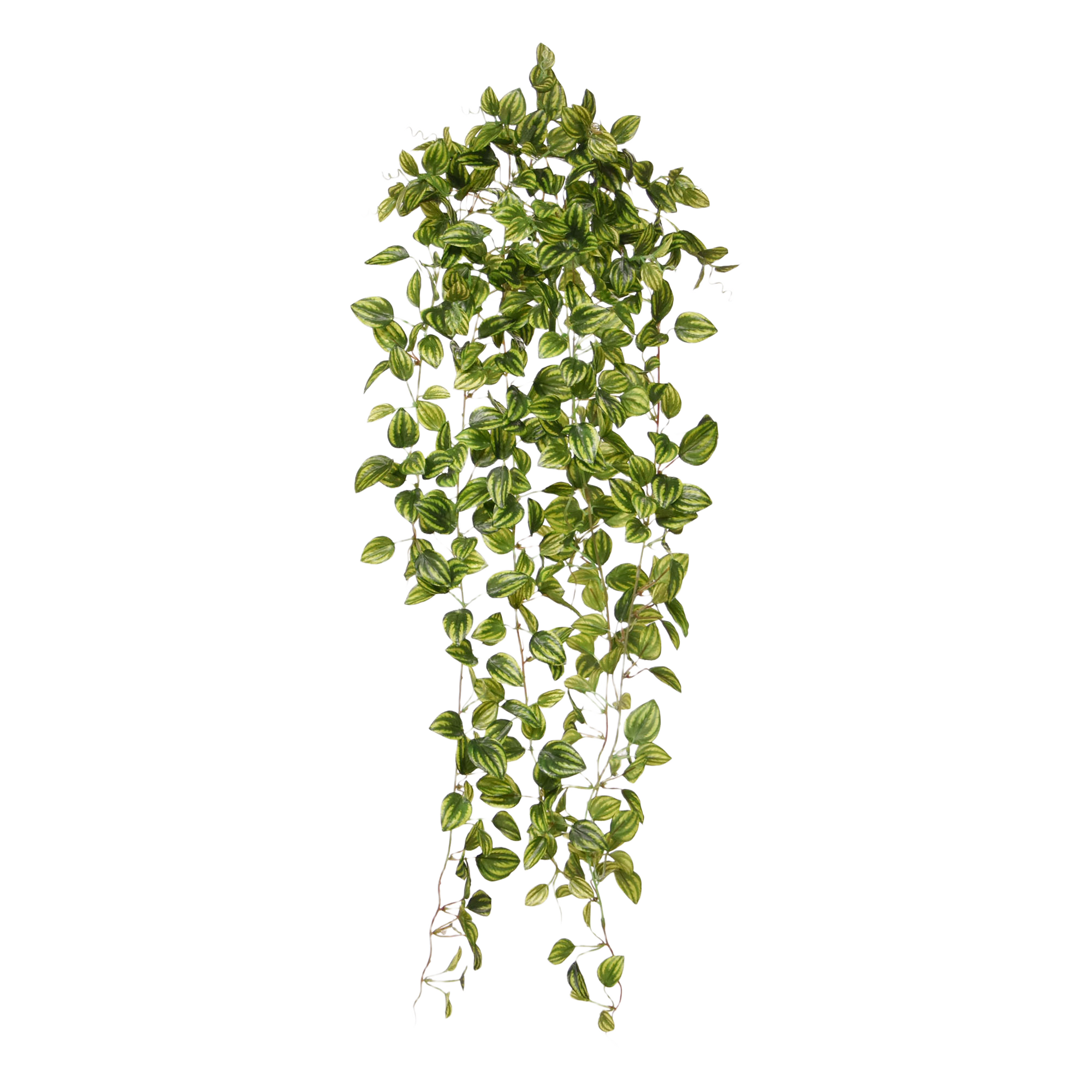 Peperomia Kunsthangplant bont 90cm 1 Peperomia Kunsthangplant bont 90cm