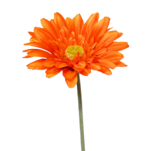Gerbera kunst steelbloem 60 cm oranje