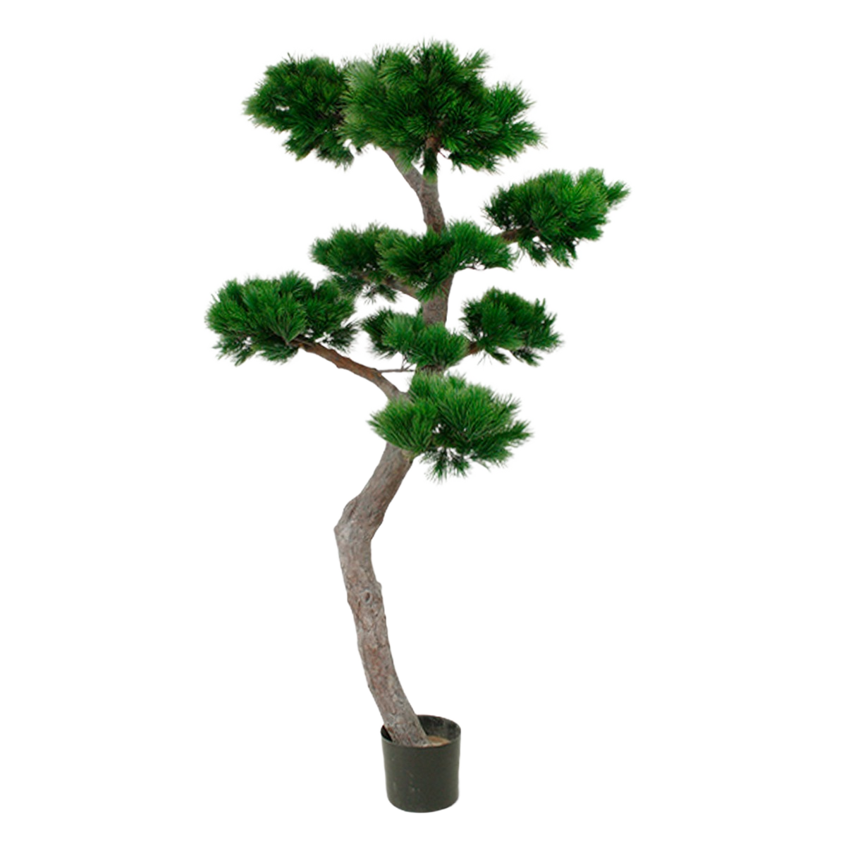 Pinus Bonsai XL kunstboom 200cm - UV bestendig 1 Pinus Bonsai XL kunstboom 200cm - UV bestendig
