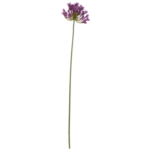 Agapanthus Kunstbloem Paars 75cm