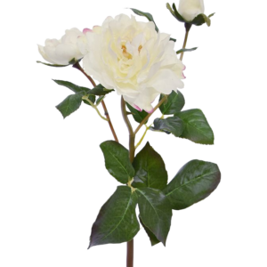 Kunst Rozentak Ruffle 50 cm creme