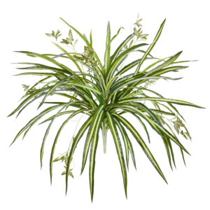 Chlorophytum RT kunst hangplant 45cm