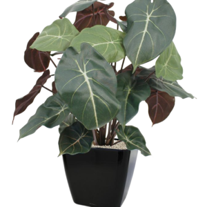Syngonium kunstplant 60cm