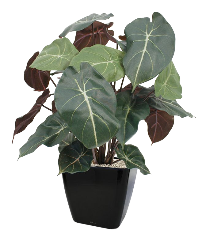 Syngonium kunstplant 60cm 1 Syngonium kunstplant 60cm
