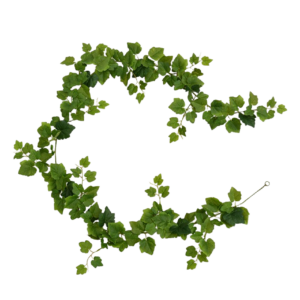 Druivenblad Guirlande kunsthanger 180cm - groen