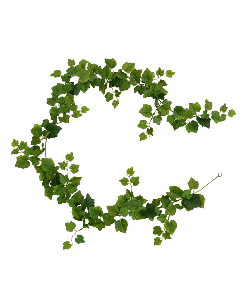 Druivenblad Guirlande kunsthanger 180cm - groen 1 Druivenblad Guirlande kunsthanger 180cm - groen