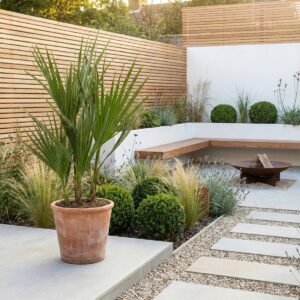 Washingtonia Robusta - Mexicaanse Waaierpalm - P14