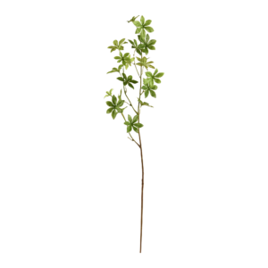 Enkianthus tak 85cm - groen