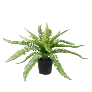 Boston Varen PL kunstplant 65cm in pot
