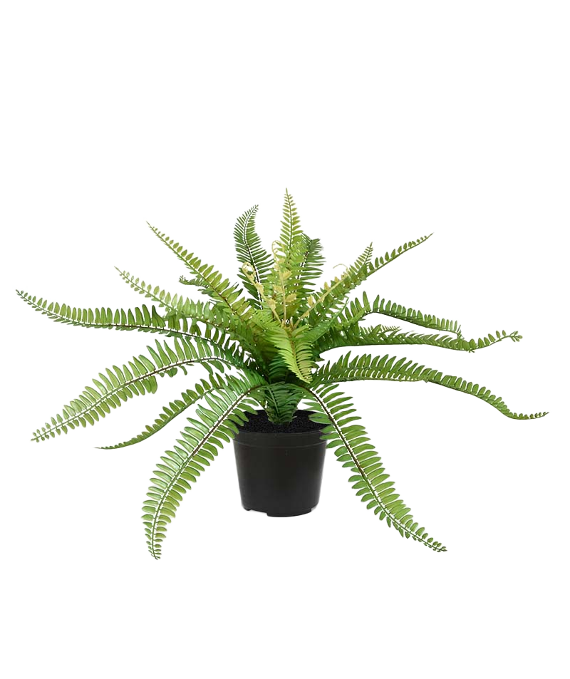 Boston Varen PL kunstplant 65cm in pot 1 Boston Varen PL kunstplant 65cm in pot