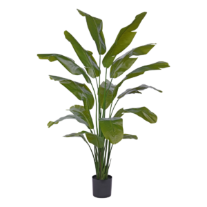 Traveller Palm promo 190cm