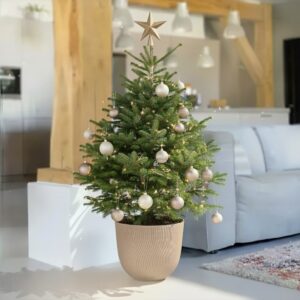 Nordmann Kerstboom - Zonder Kluit - H125 - 150cm