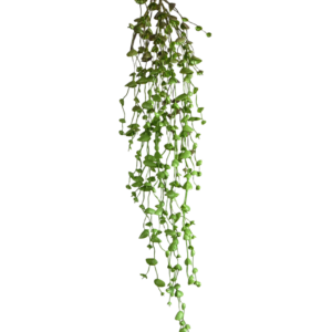 Erwten kunst hangplant 60cm - groen