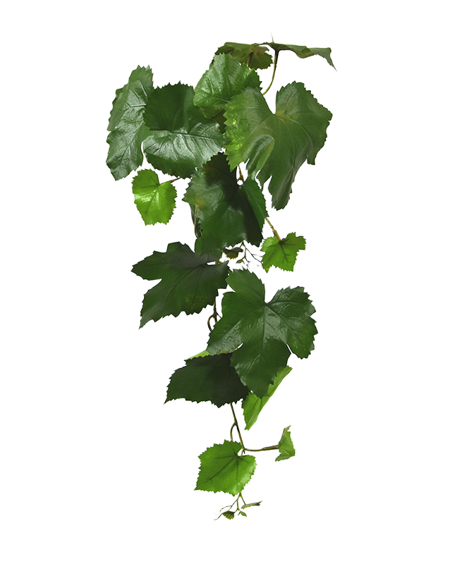 Kunst Druiventak 65cm 1 Kunst Druiventak 65cm