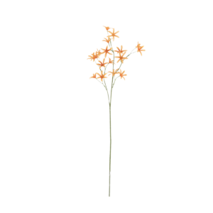 Tweedia Oxypetalum Kunsttak 68cm Oranje