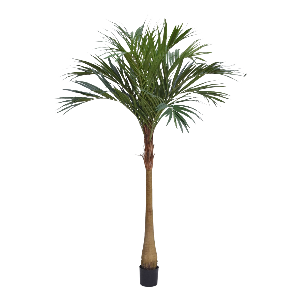 Majesty kunstpalm x10 YG-Trunk 225cm 1 Majesty kunstpalm x10 YG-Trunk 225cm