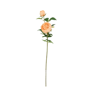 Engelse Tuinrozen Kunsttak 69cm Zalm