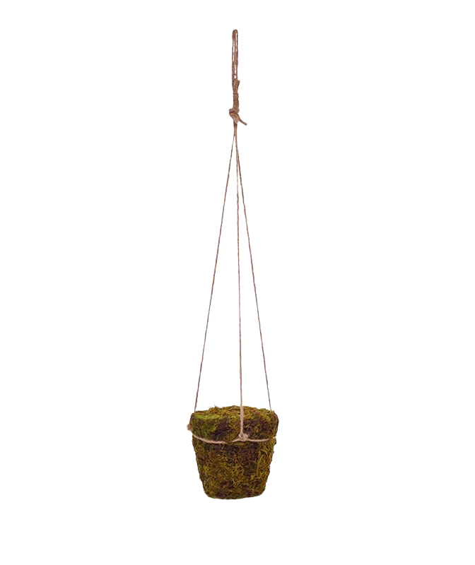 Mospot met juten touwhanger 70cm 1 Mospot met juten touwhanger 70cm