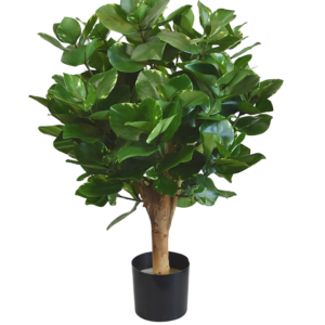 Clusia bol kunstplant 55cm