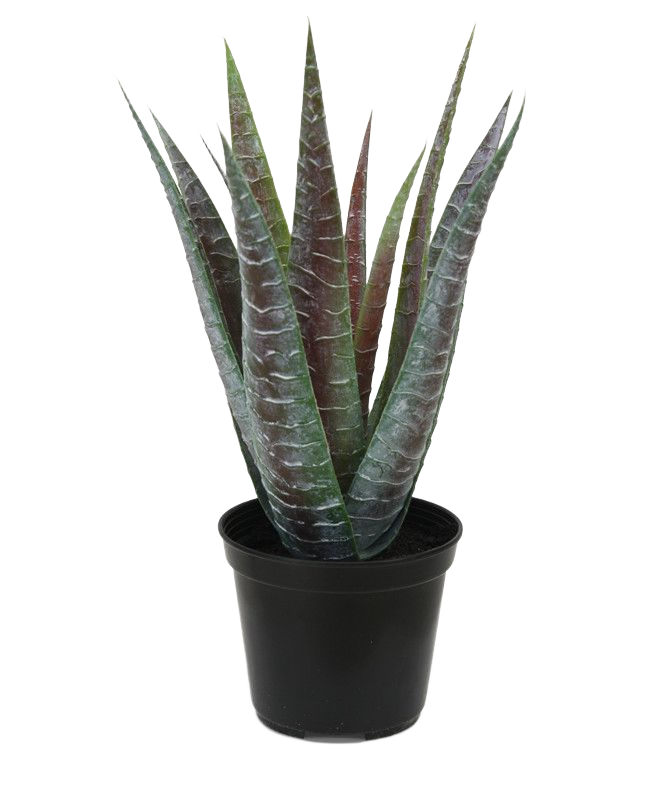 Aloë kunstplant 30cm in pot 1 Aloë kunstplant 30cm in pot