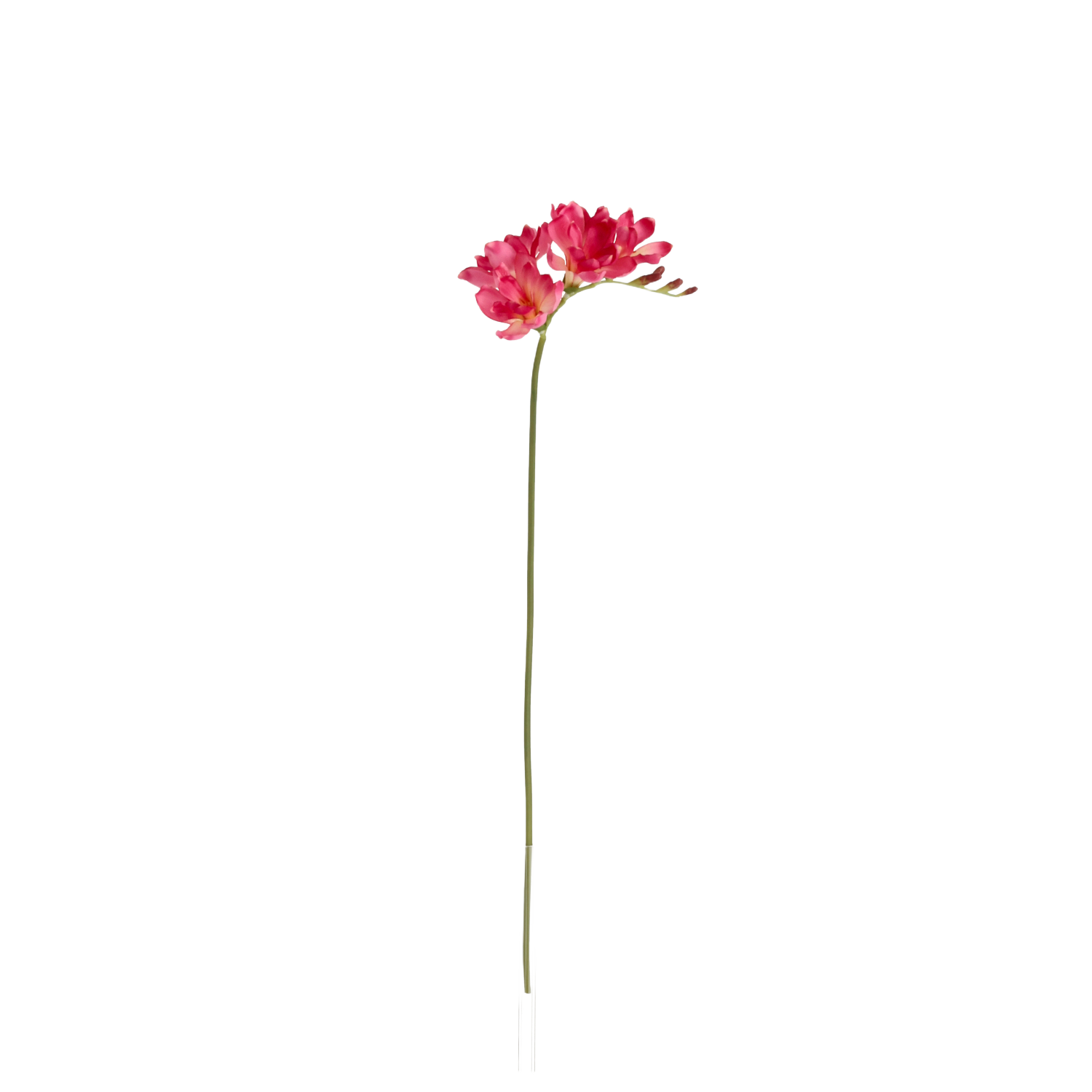 Freesia Kunsttak 53cm Cerise 1 Freesia Kunsttak 53cm Cerise
