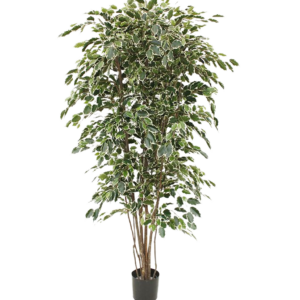 Ficus Exotica deluxe kunstboom 210cm - bont