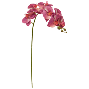 Phalaenopsis Kunstbloem 95cm Paars