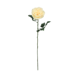 Engelse Tuinroos Kunsttak 56cm Creme