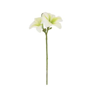 Amaryllus Kunstbloem 39cm Creme groen